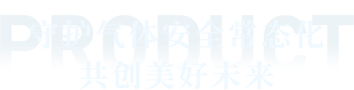 項目案例文字